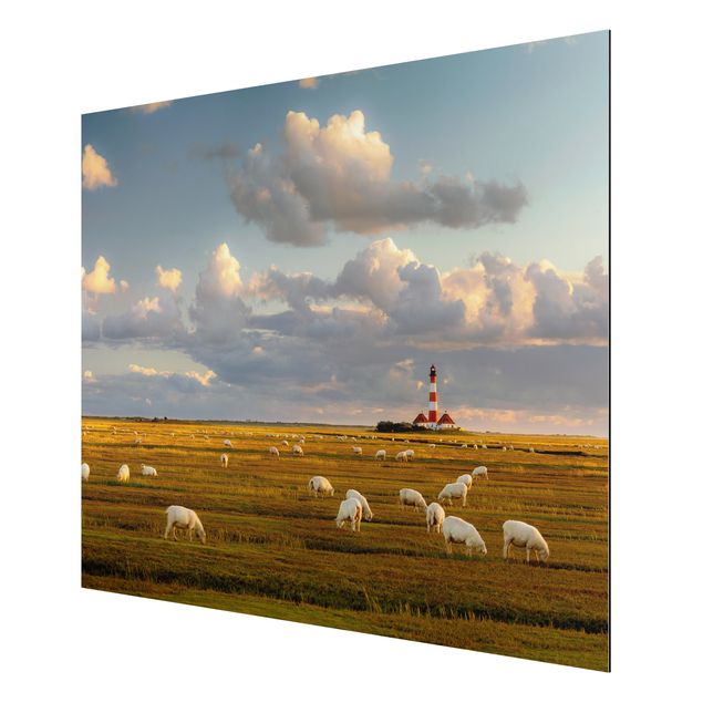 Obrazy nowoczesny Latarnia morska na Morzu Północnym ze stadem owiec