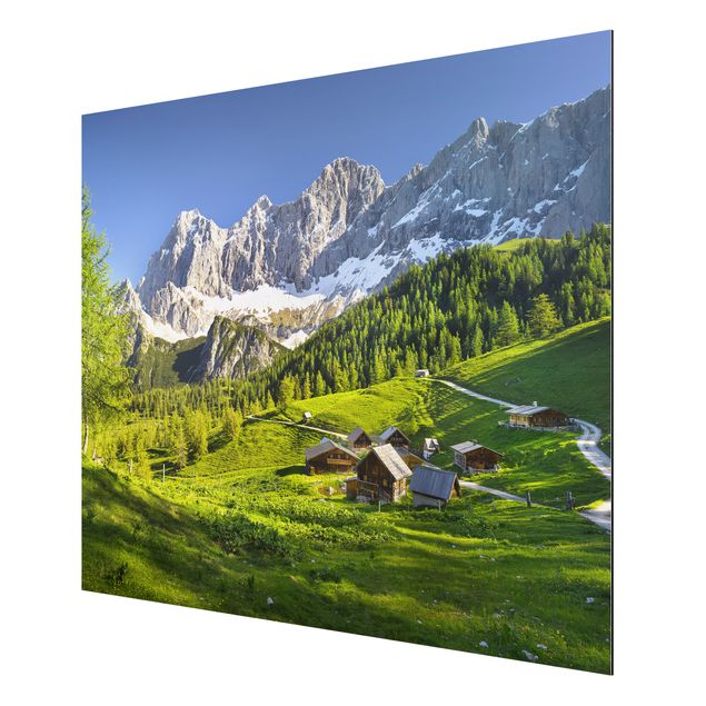Obrazy nowoczesne Styria Alpejska łąka