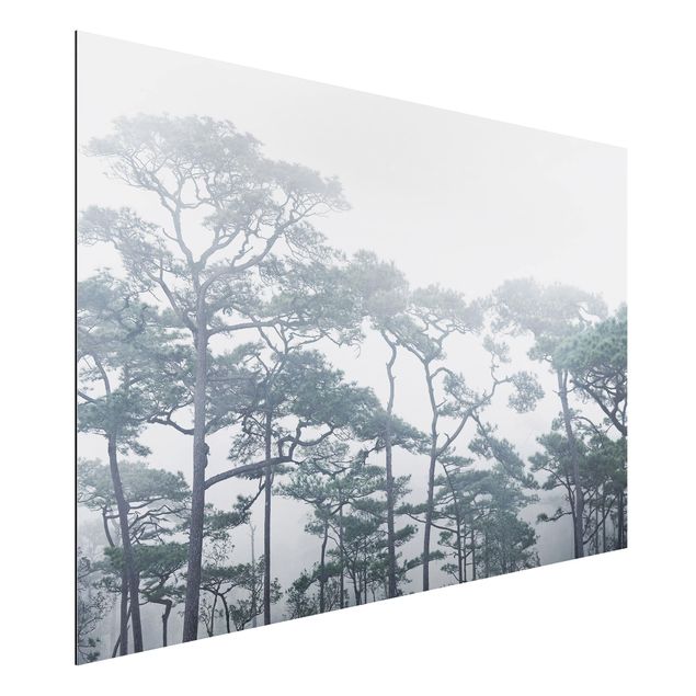 Dekoracja do kuchni Wierzchołki drzew we mgle