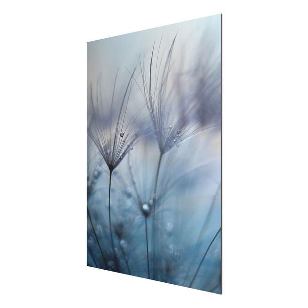 Obrazy nowoczesne Błękitne pióra w deszczu