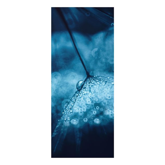 Obrazy do salonu Błękitny mniszek lekarski w deszczu
