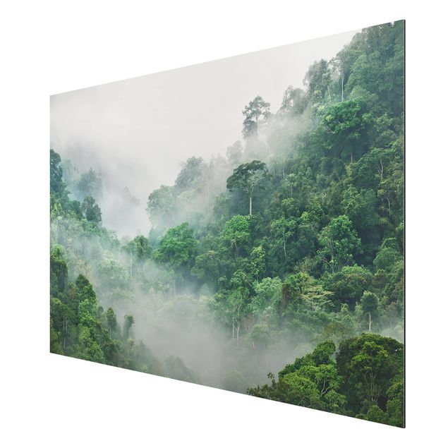 Obrazy nowoczesny Dżungla we mgle