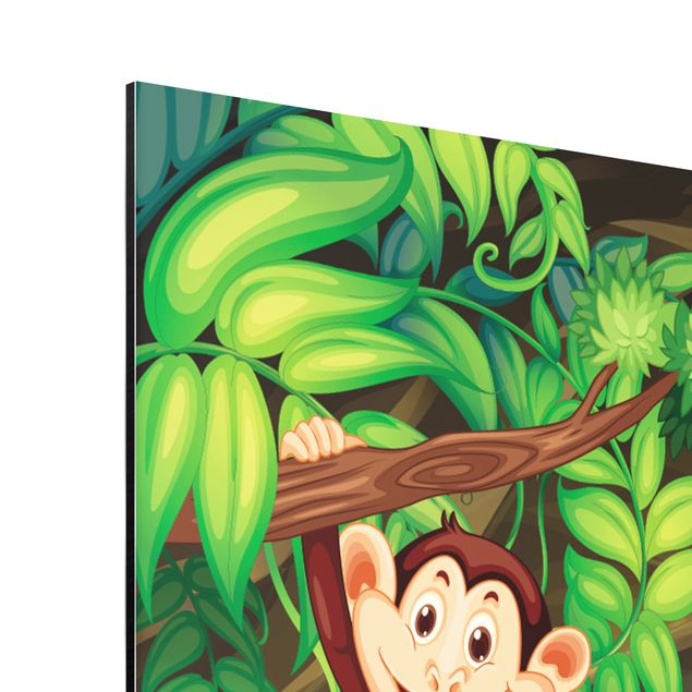 Obrazy na ścianę Dżungla małp