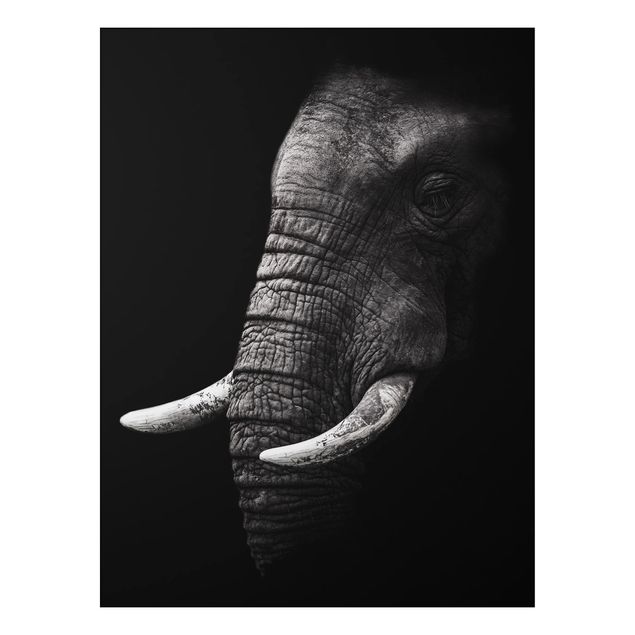 Dekoracja do kuchni Portret ciemnego słonia