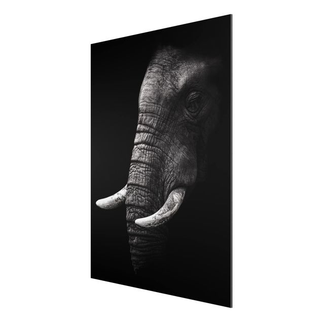 Obrazy nowoczesne Portret ciemnego słonia