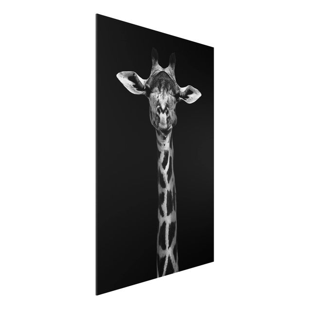 Obrazy do salonu nowoczesne Portret ciemnej żyrafy