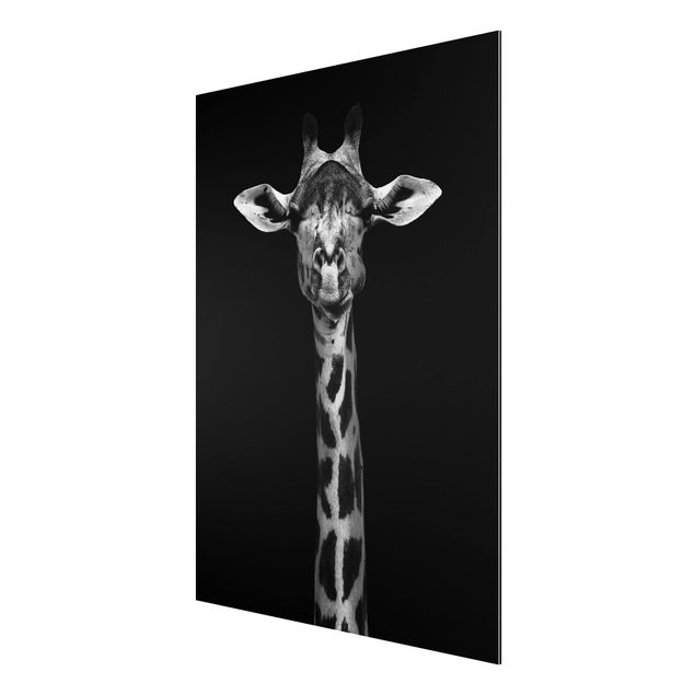 Nowoczesne obrazy Portret ciemnej żyrafy