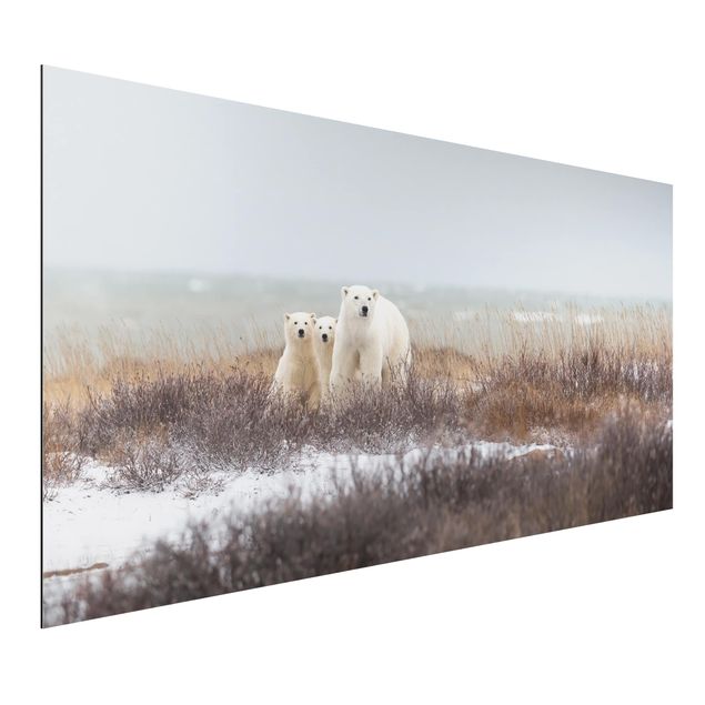 Dekoracja do kuchni Niedźwiedzica polarna i jej młode