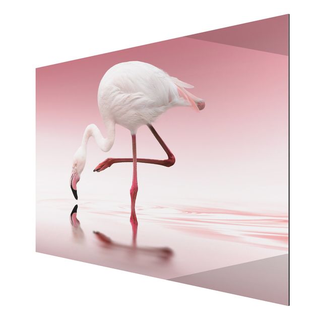 Obrazy nowoczesny Taniec flamingów