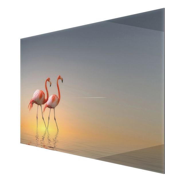 Nowoczesne obrazy Miłość flaminga