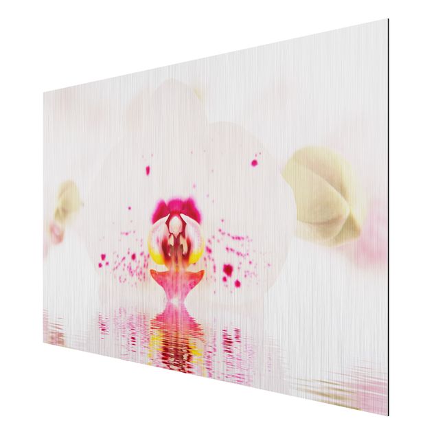 Obrazy do salonu nowoczesne Orchidea w kropki na wodzie