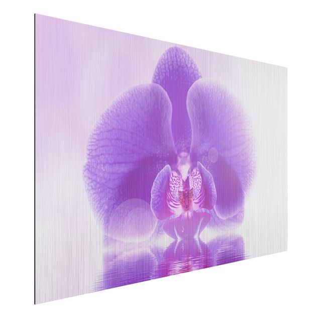 Orchidea obraz Purpurowy storczyk na wodzie