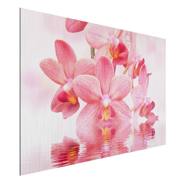 Orchidea obraz Różowe storczyki na wodzie