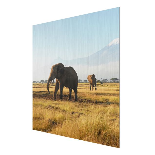 Obrazy nowoczesny Słonie na tle Kilimandżaro w Kenii