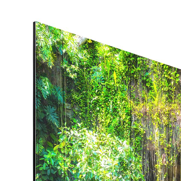 Obrazy na ścianę krajobrazy Wiszące korzenie Cenote Ik-Kil