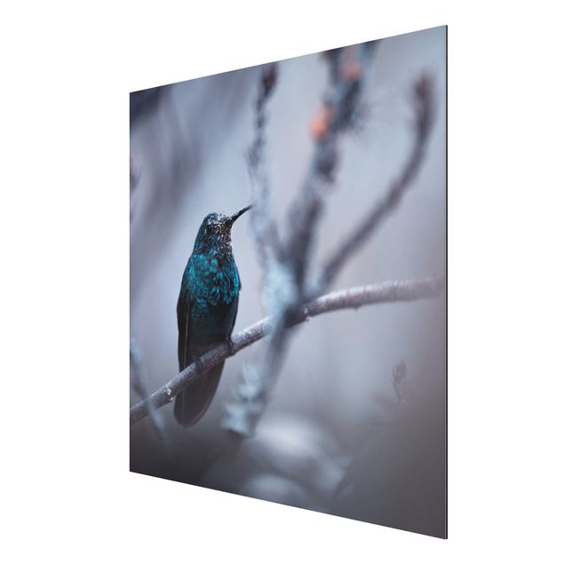 Nowoczesne obrazy Koliber w zimie
