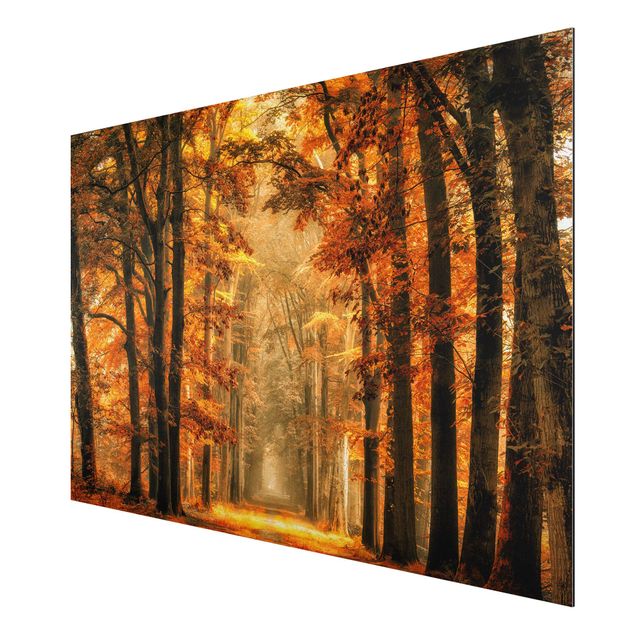 Nowoczesne obrazy Bajkowy las jesienią