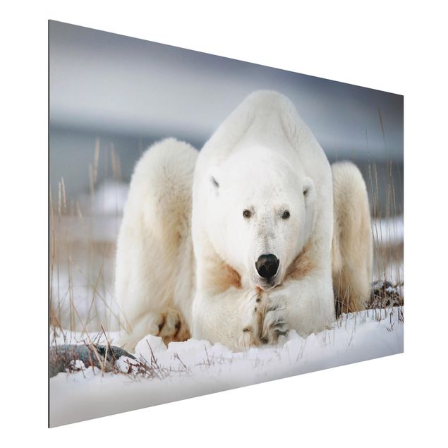 Dekoracja do kuchni Przemyślany niedźwiedź polarny