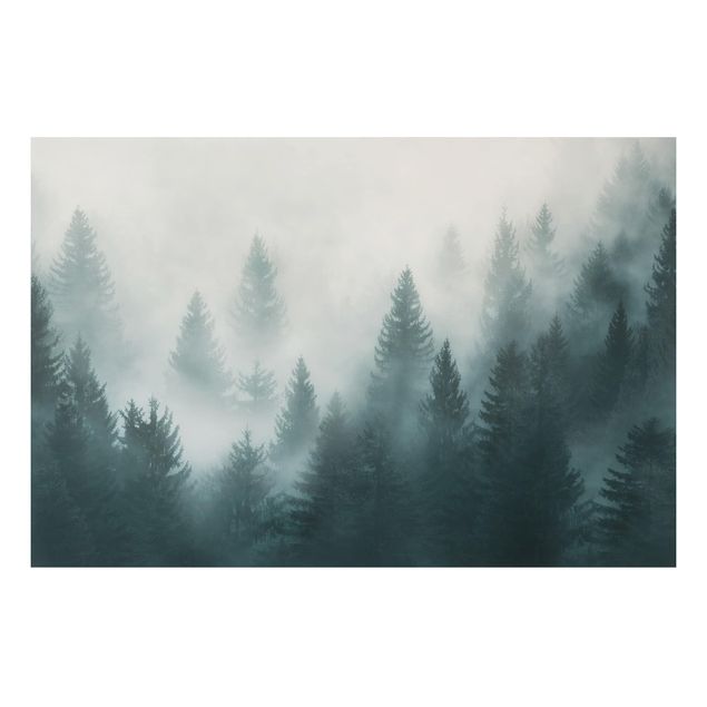 Obrazy do salonu nowoczesne Las iglasty we mgle