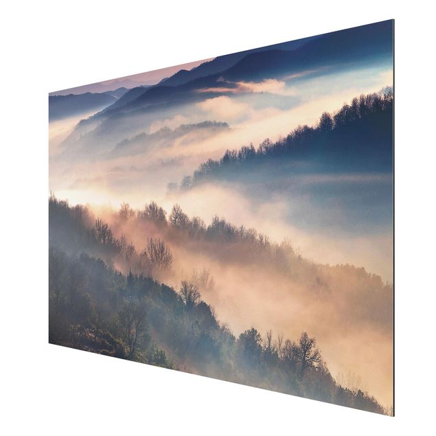 Obrazy nowoczesny Mgła o zachodzie słońca