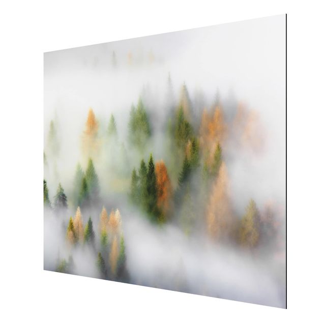 Obrazy nowoczesne Czarny Las jesienią