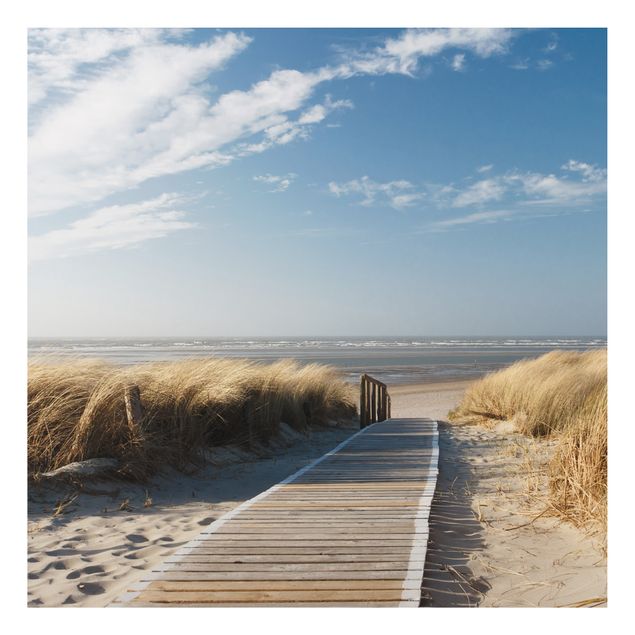 Obrazy do salonu nowoczesne Plaża nad Morzem Bałtyckim