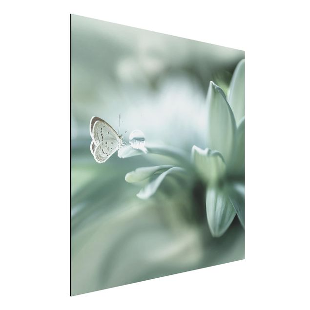 Obrazy do salonu Motyl i krople rosy w pastelowej zieleni