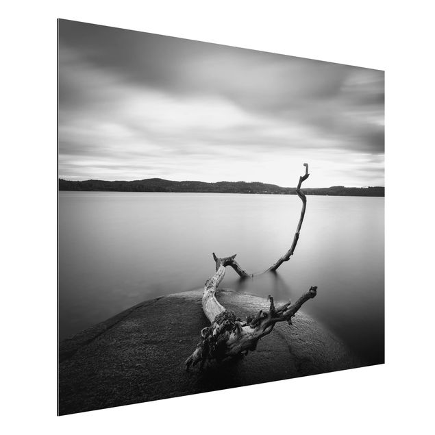 Obrazy do salonu Zachód słońca nad jeziorem czarno-biały