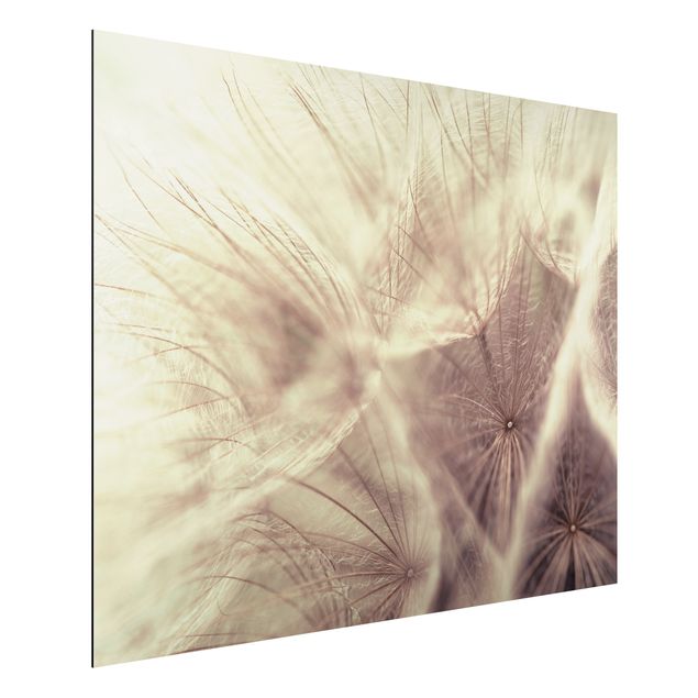 Obrazy z motywem kwiatowym Szczegółowa makrofotografia mniszka lekarskiego z efektem rozmycia w stylu vintage