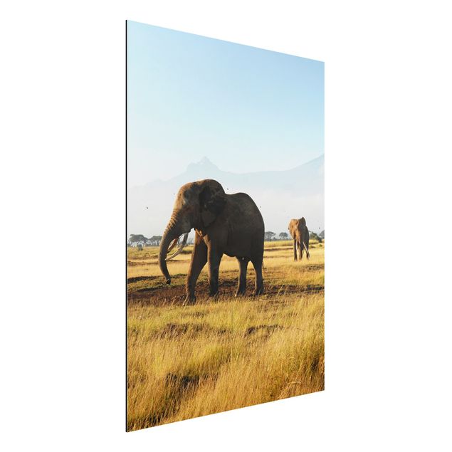 Obrazy słoń Słonie na tle Kilimandżaro w Kenii