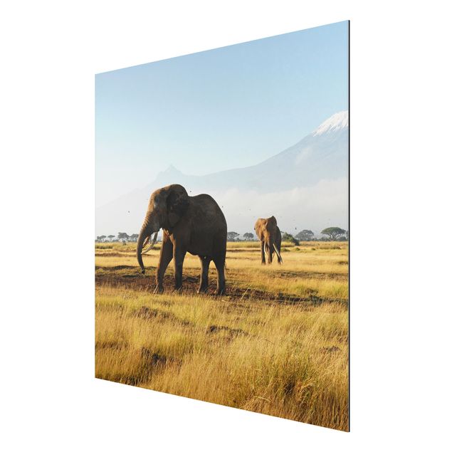 Obrazy nowoczesny Słonie na tle Kilimandżaro w Kenii