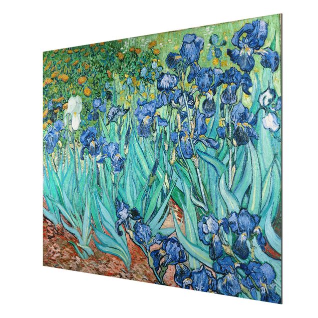 Obrazy nowoczesne Vincent van Gogh - Iris