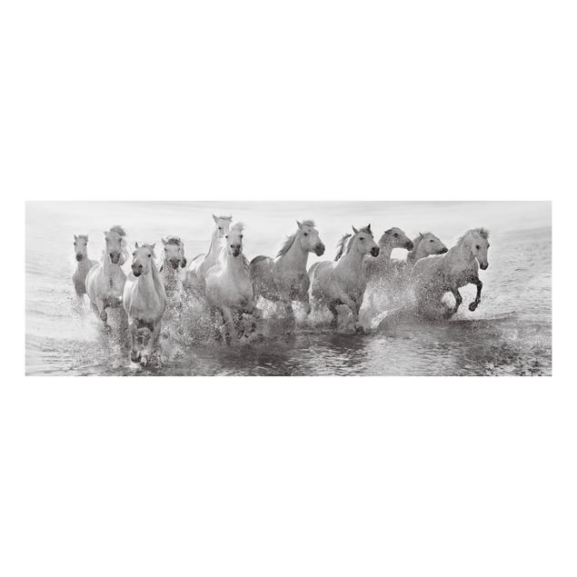 Nowoczesne obrazy do salonu Białe konie w morzu