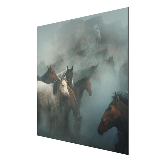 Obrazy nowoczesne Dzikie konie