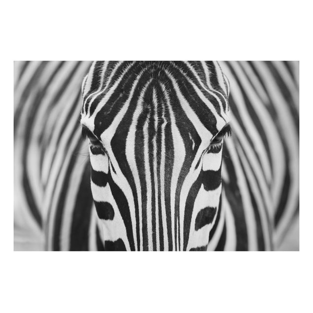 Nowoczesne obrazy do salonu Zebra Look