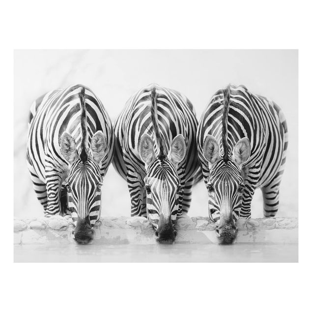 Dekoracja do kuchni Zebra Trio czarno-biała