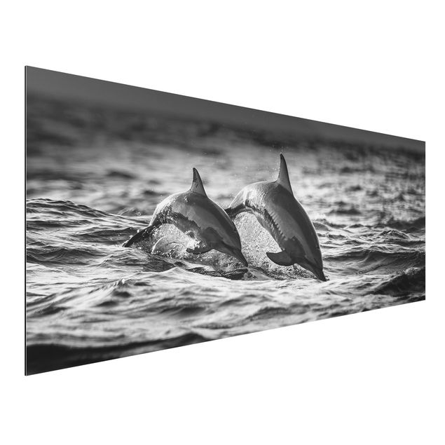 Nowoczesne obrazy do salonu Dwa skaczące delfiny