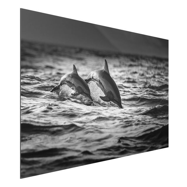Nowoczesne obrazy do salonu Dwa skaczące delfiny