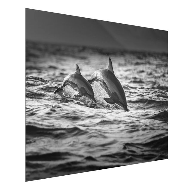 Dekoracja do kuchni Dwa skaczące delfiny