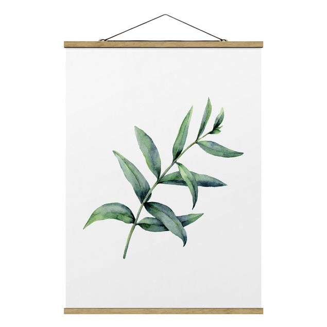 Zielony obraz Akwarela Eukaliptus I