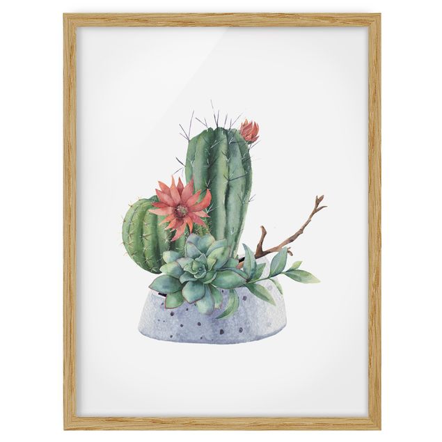 Obrazy w ramie do kuchni Akwarela Ilustracja kaktusów