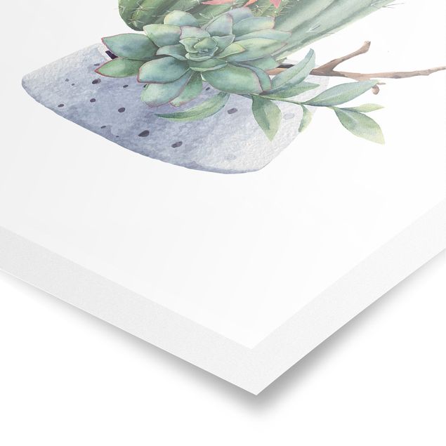 Obrazy motywy kwiatowe Akwarela Ilustracja kaktusów