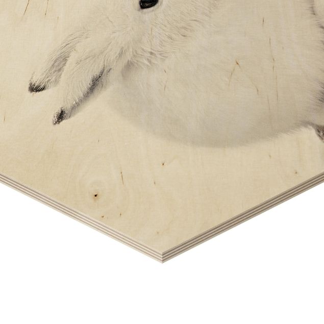Obraz heksagonalny z drewna - Zając arktyczny