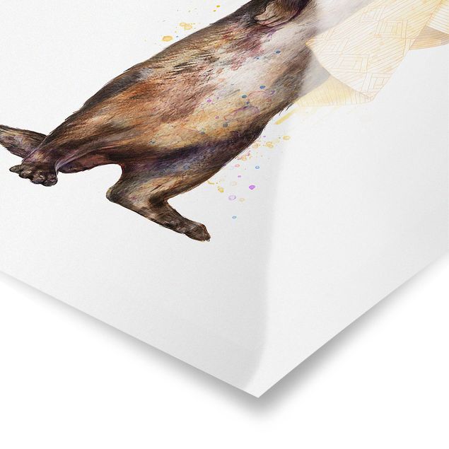 Plakaty ze zwierzętami Ilustracja Wydra z ręcznikiem malowana na biało