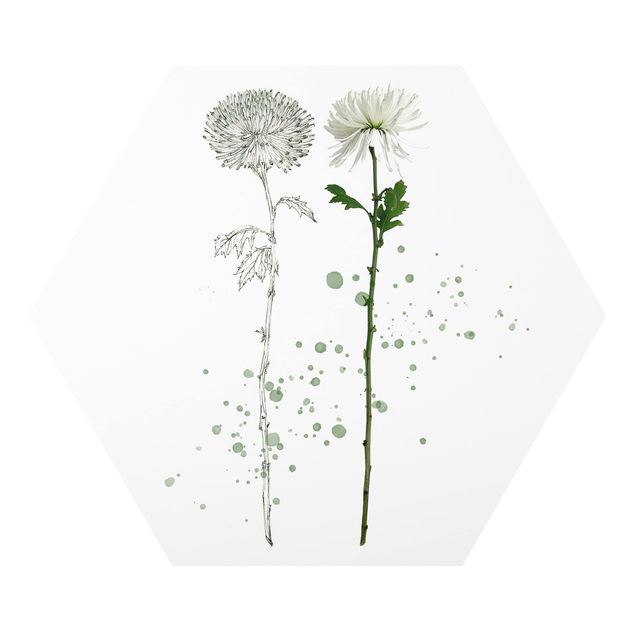 Obrazy z motywem kwiatowym Akwarela botaniczna - Mniszek lekarski