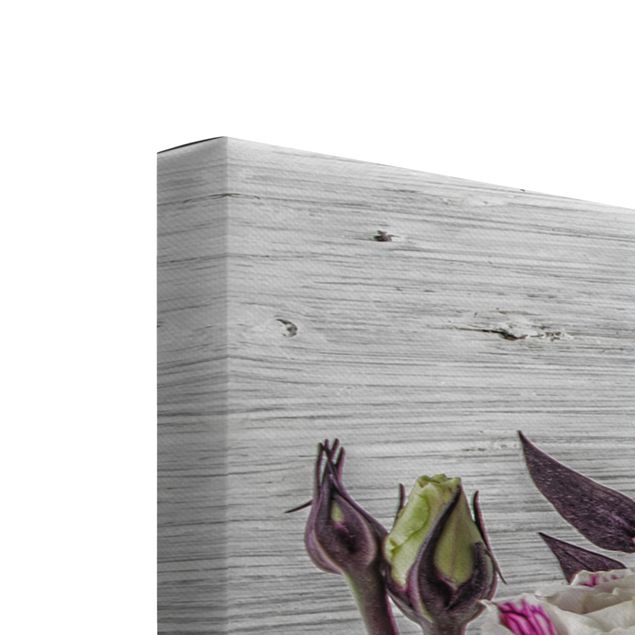 Obraz na płótnie 3-częściowy - Tulipanowa róża Shabby Wood Look