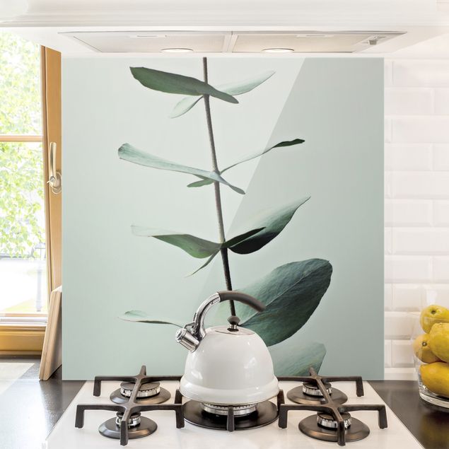 Dekoracja do kuchni Symetryczna gałązka eukaliptusa