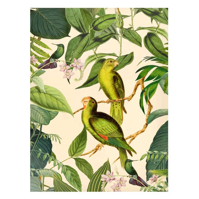 Obrazy do salonu Kolaże w stylu vintage - Papugi w dżungli