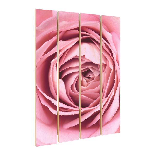 Obraz z drewna - Różowy kwiat róży