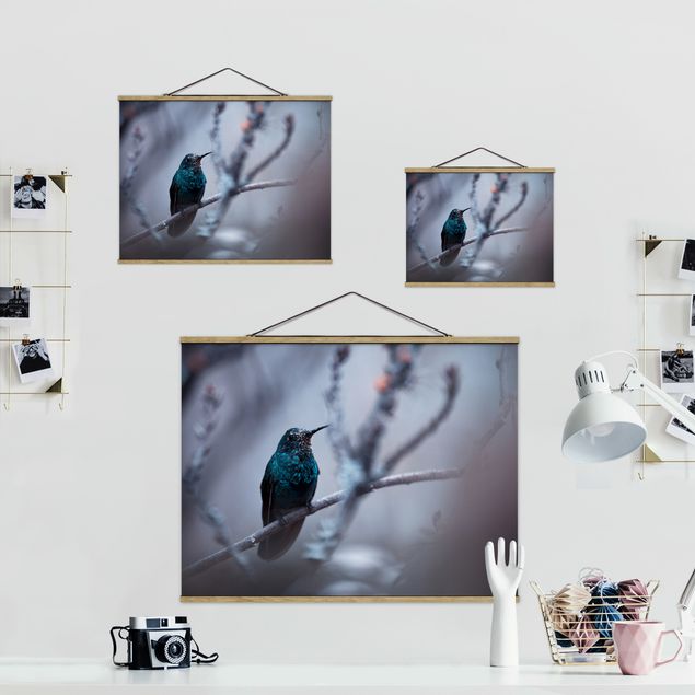 Obrazy na ścianę Koliber w zimie